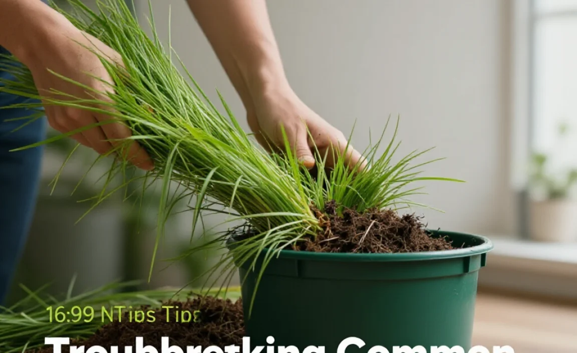 Troubleshooting Common Composting Problems