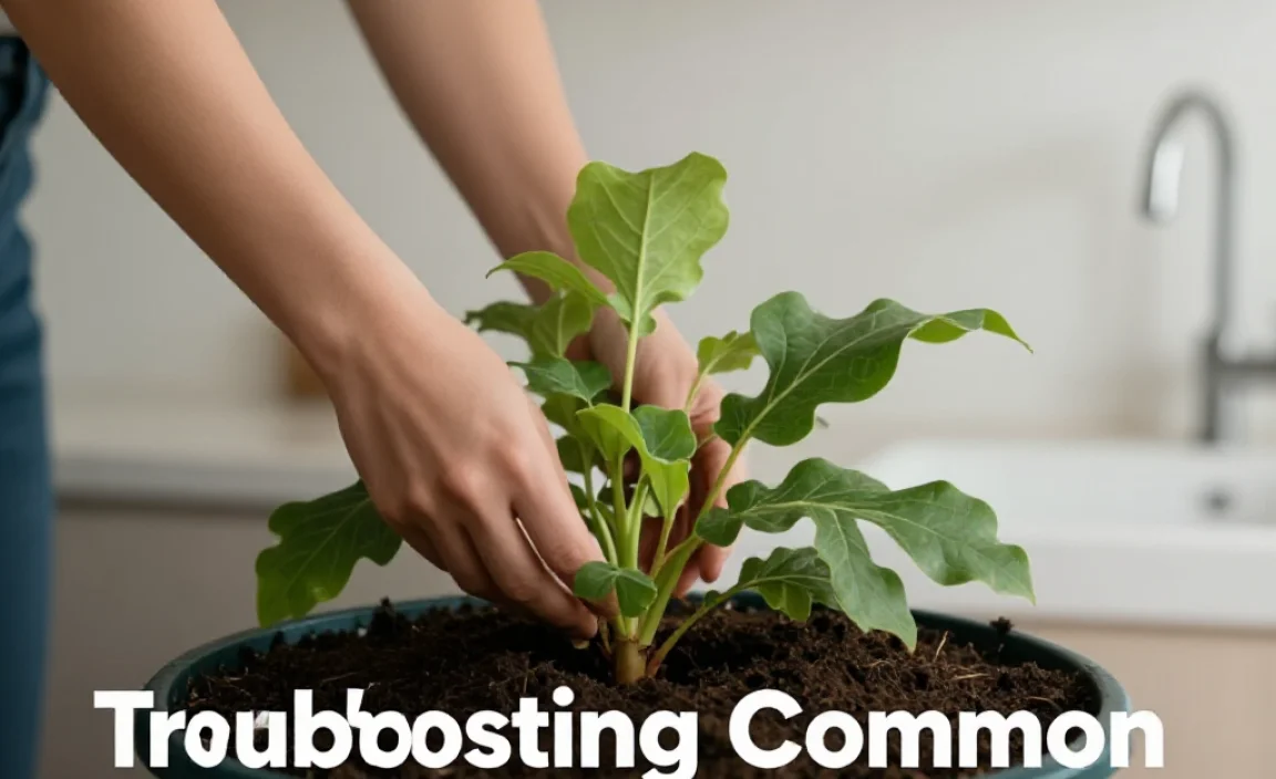 Troubleshooting Common Composting Problems