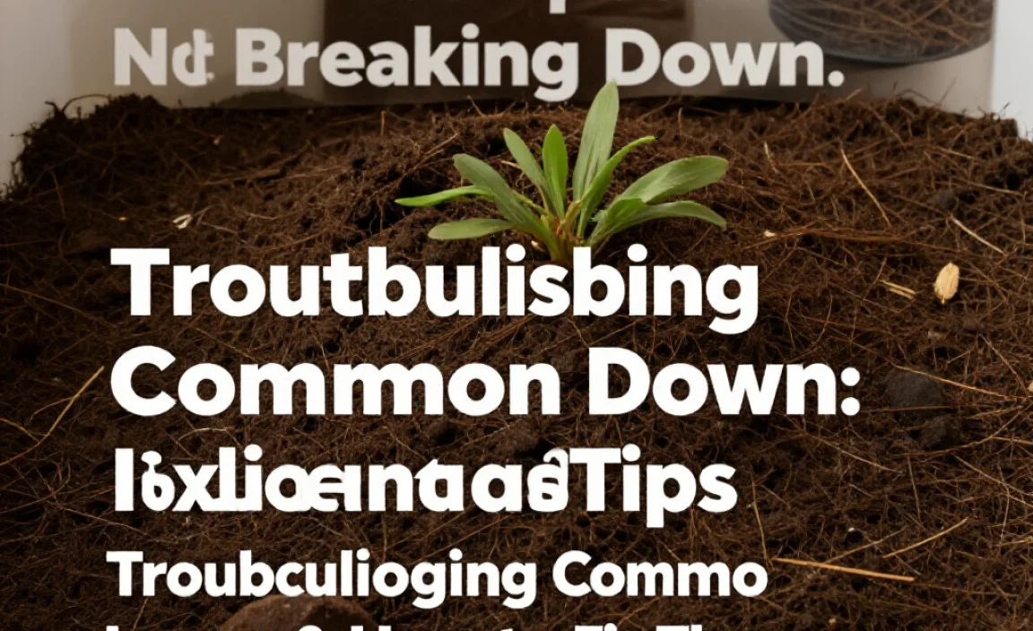 Troubleshooting Common Issues & How to Fix Them