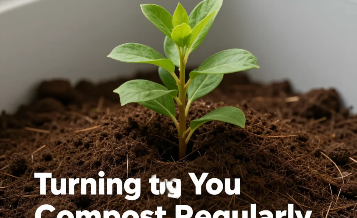 Turning Your Compost Regularly