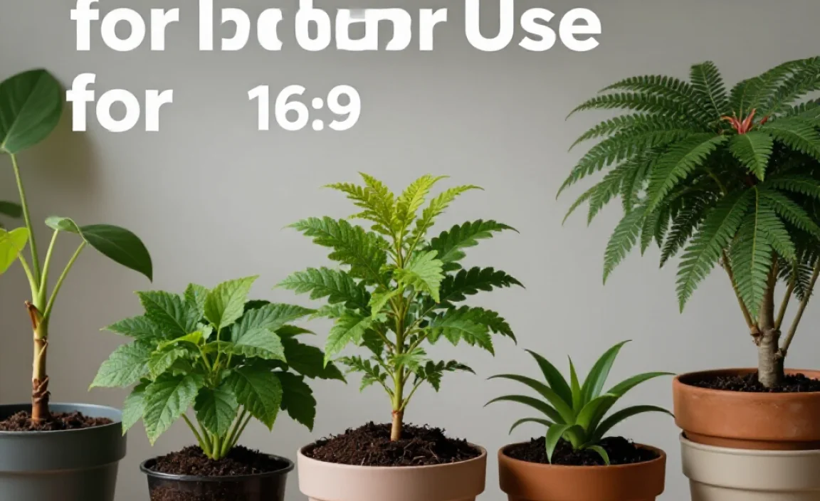 Types of Compost for Indoor Use