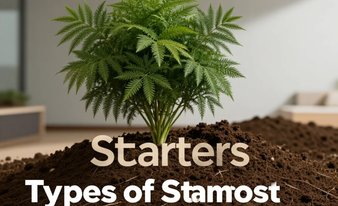 Types of Compost Starters Available in the USA