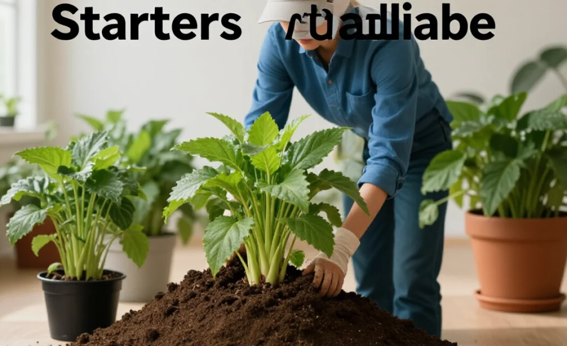 Types Of Compost Starters Available