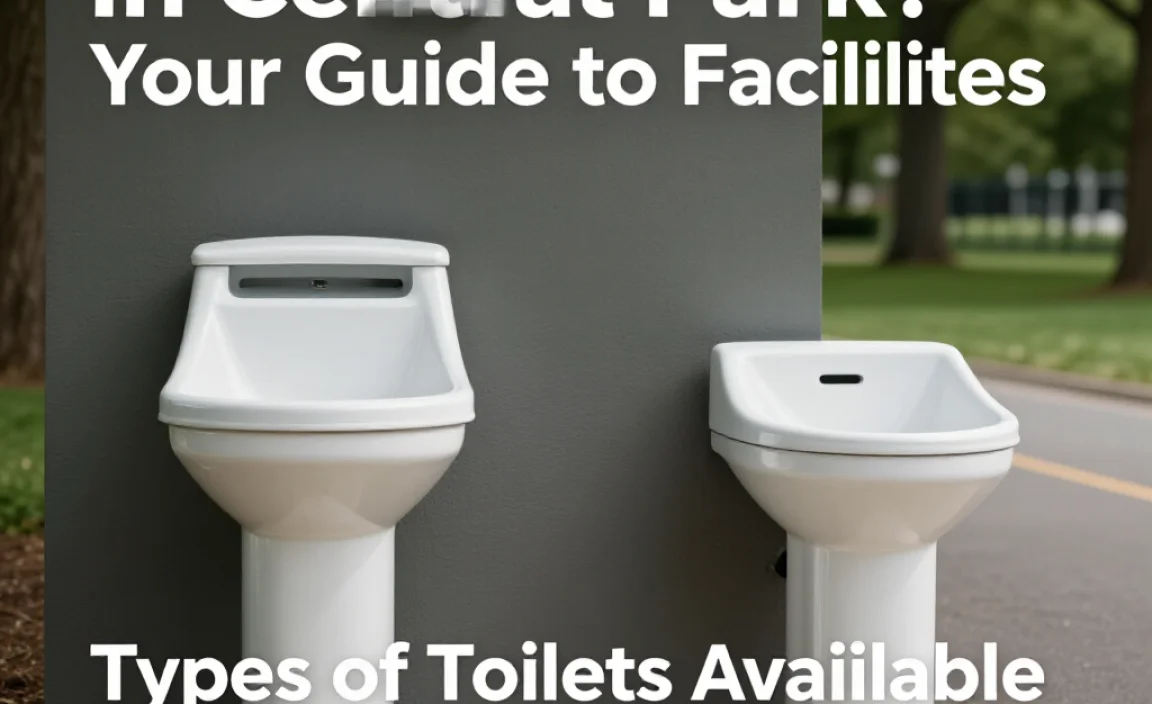 Types of Toilets Available