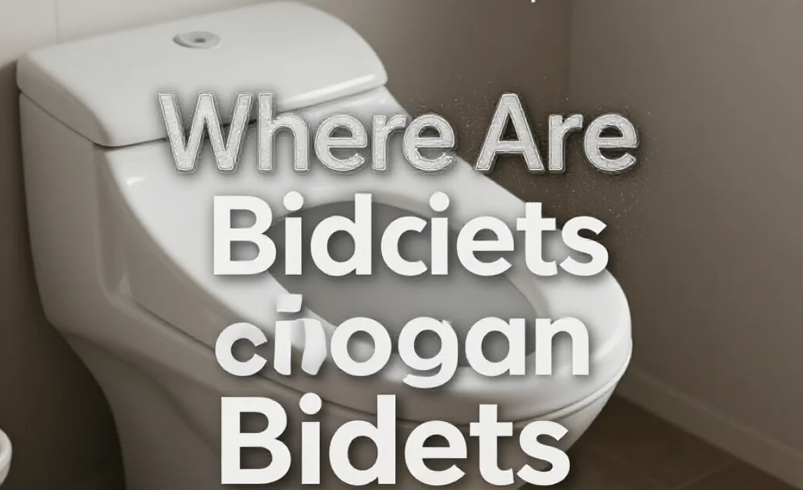 Understanding Bidets