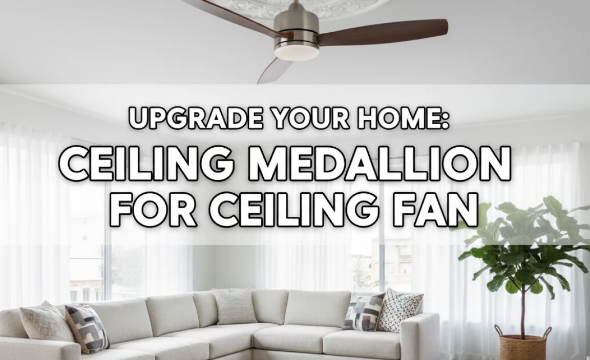 Upgrade Your Home: Ceiling Medallion For Ceiling Fan