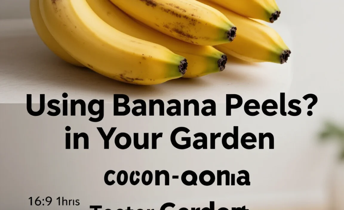 Using Banana Peels in Your Garden