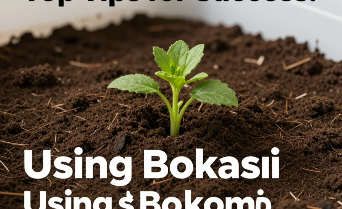Using Bokashi Compost in Your Garden