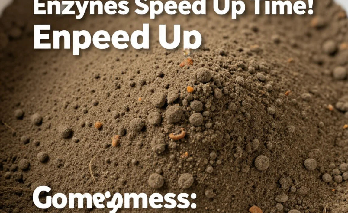 Using Compost Enzymes Effectively