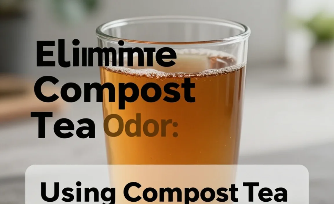 Using Compost Tea for Gardening