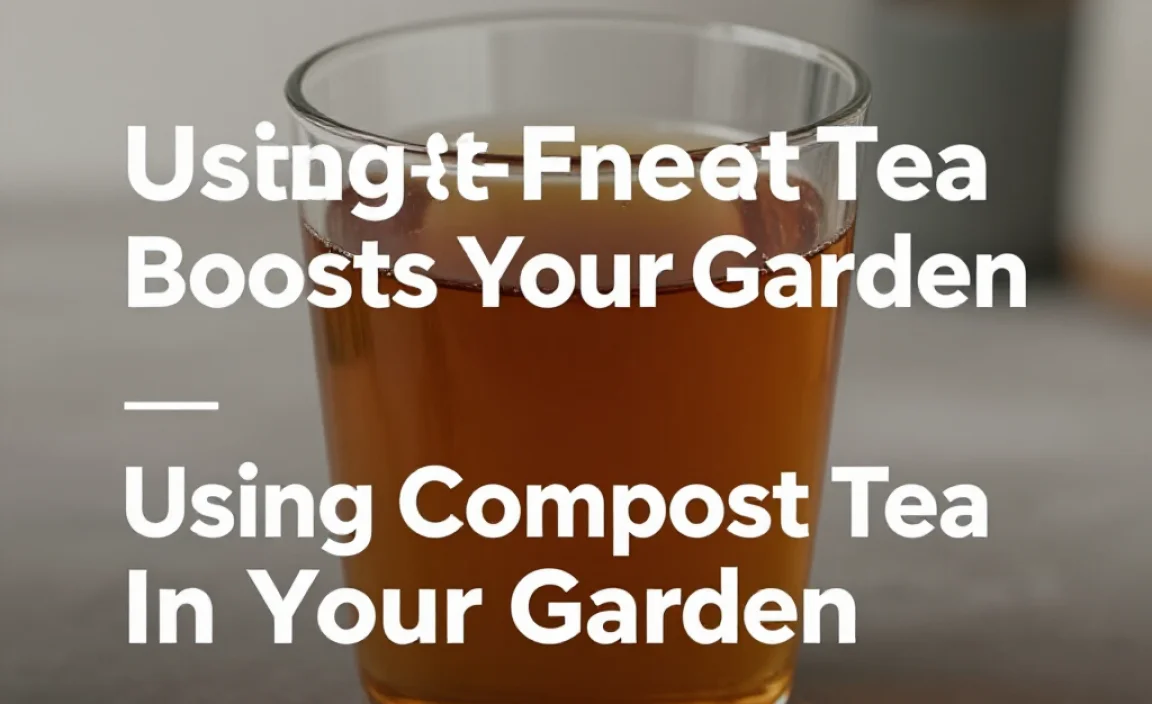 Using Compost Tea In Your Garden
