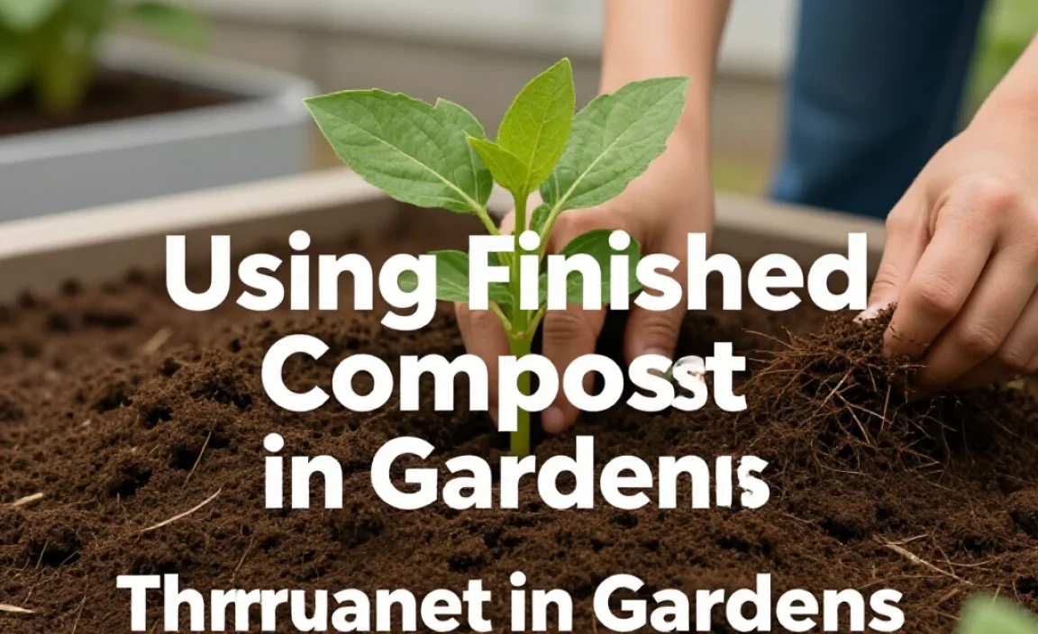 Using Finished Compost in Gardens