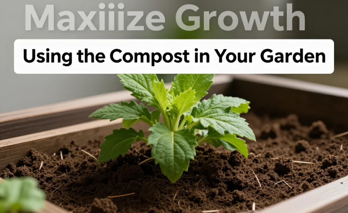 Using the Compost in Your Garden