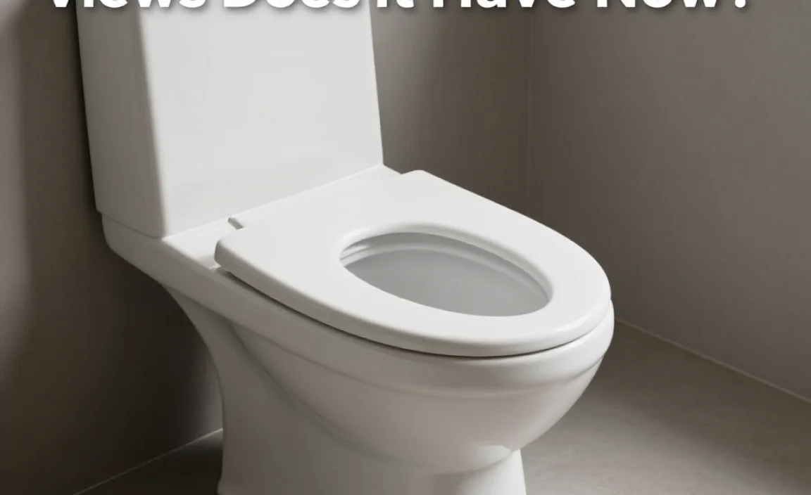 View Count Breakdown