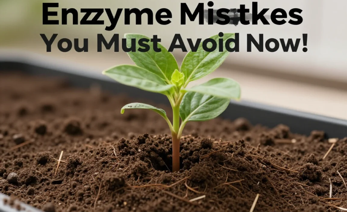 Watering Your Compost