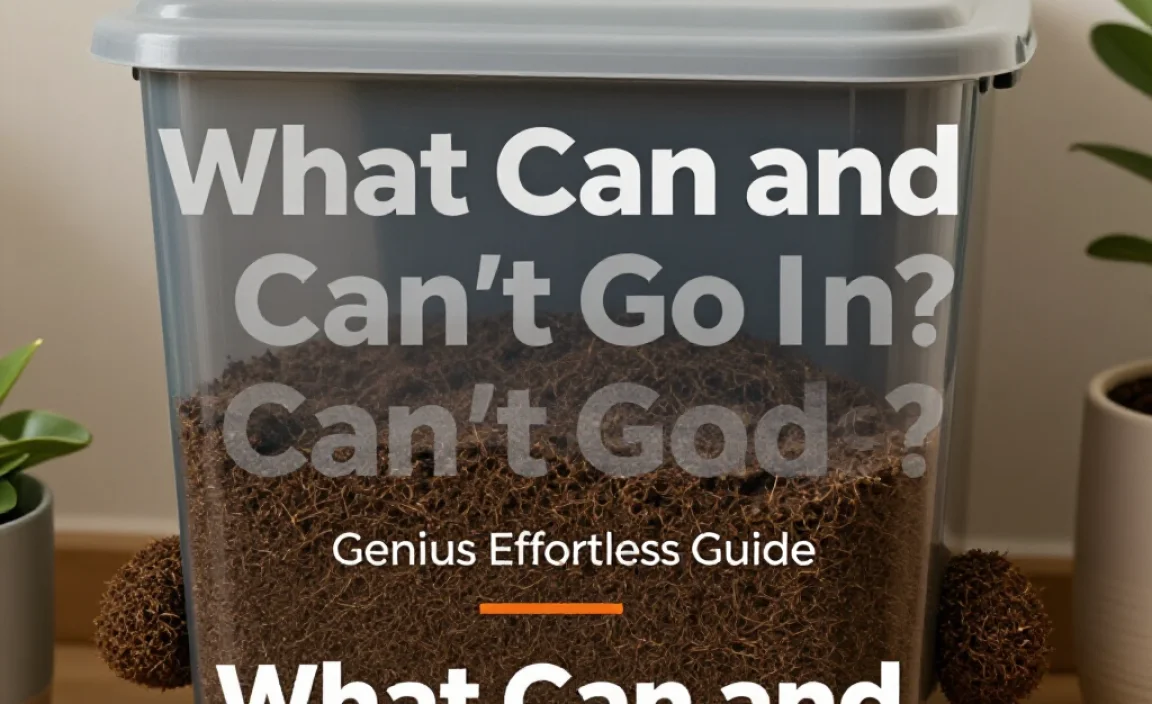 What Can and Can&rsquo;t Go In?