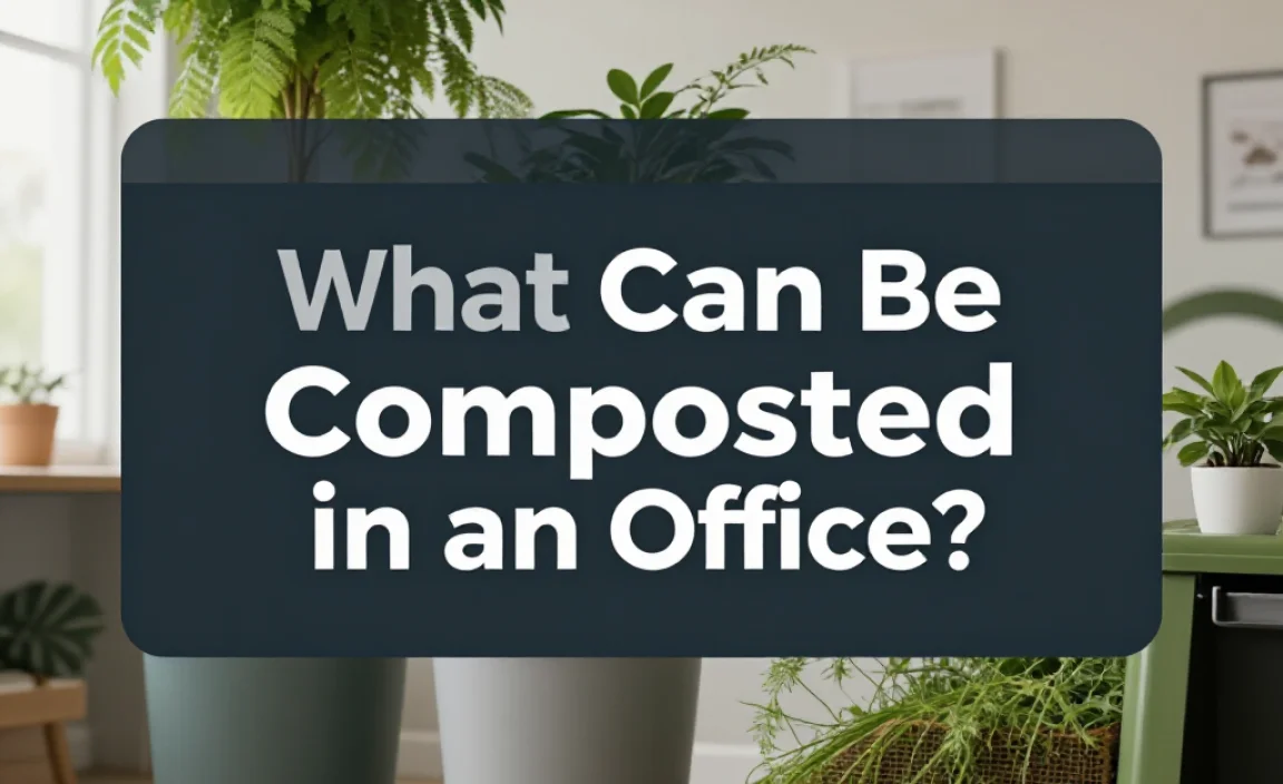 What Can Be Composted in an Office?