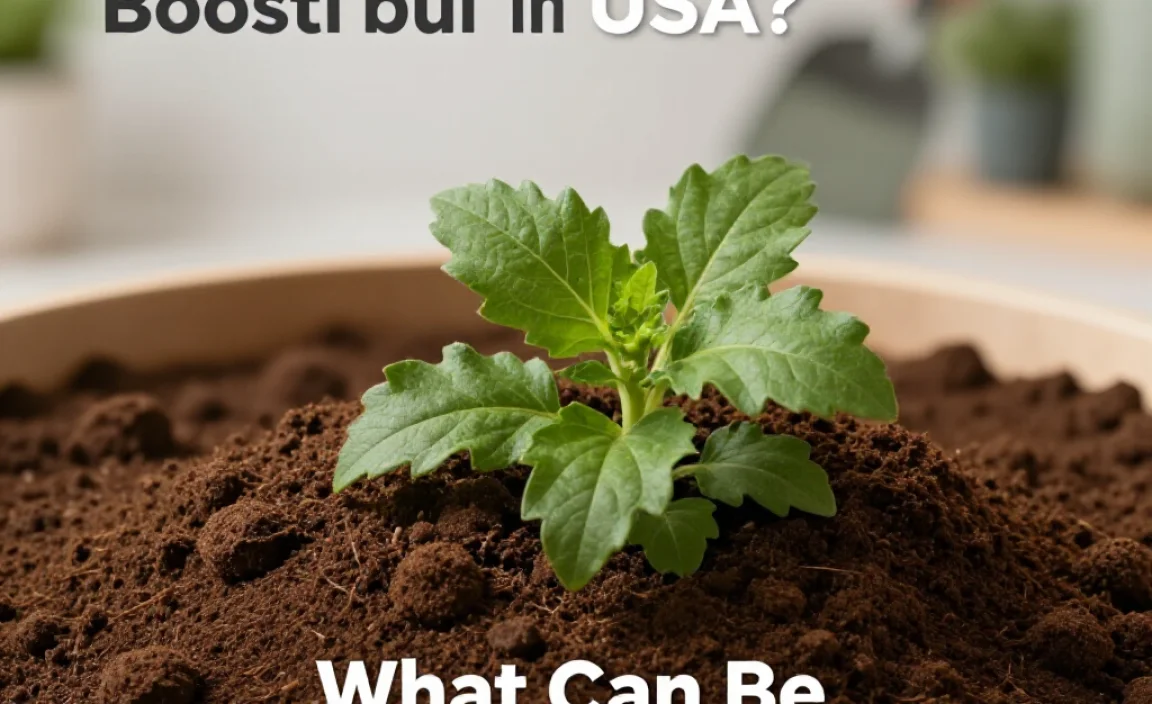 What Can Be Composted in the USA?
