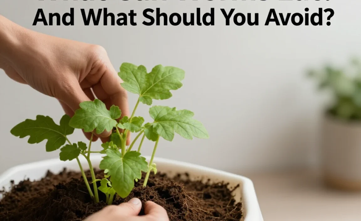 What Can Worms Eat? And What Should You Avoid?