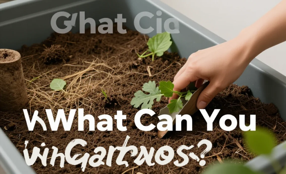 What Can You Compost?