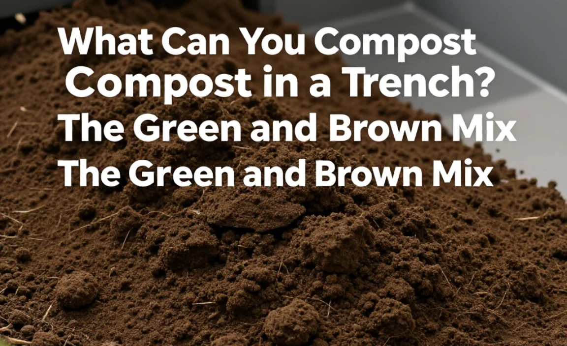 What Can You Compost in a Trench? The Green and Brown Mix