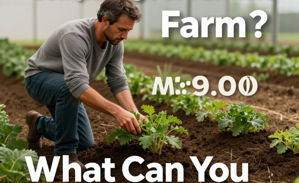 What Can You Compost on Your Farm?