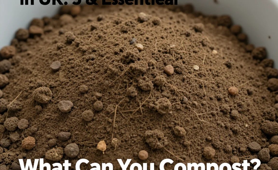 What Can You Compost? The Golden Rules