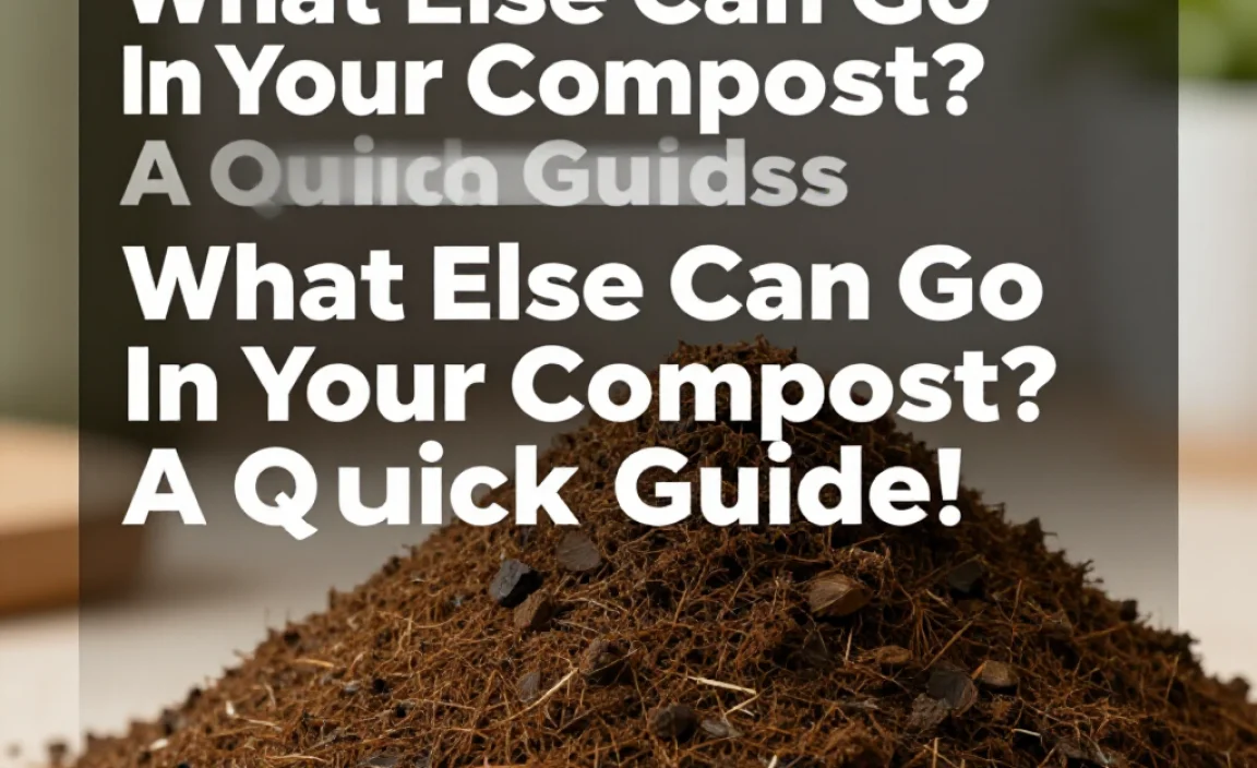 What Else Can Go In Your Compost? A Quick Guide!