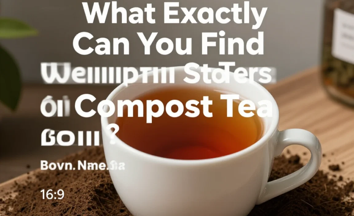 What Exactly Can You Find at Compost Tea Stores?