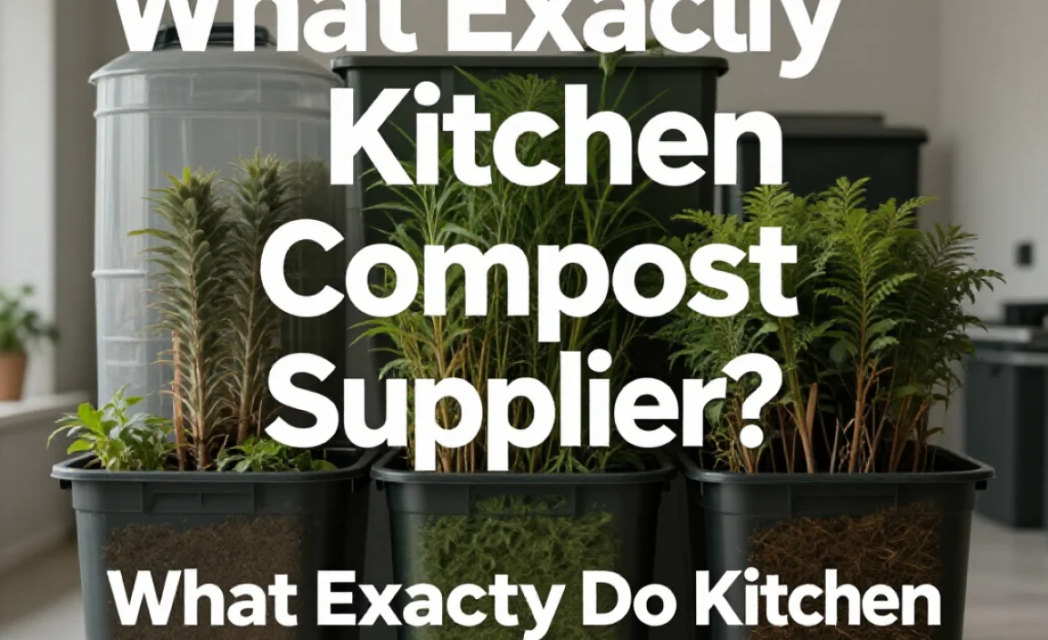 What Exactly Do Kitchen Compost Suppliers Offer?