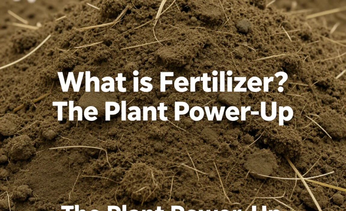 What is Fertilizer? The Plant Power-Up