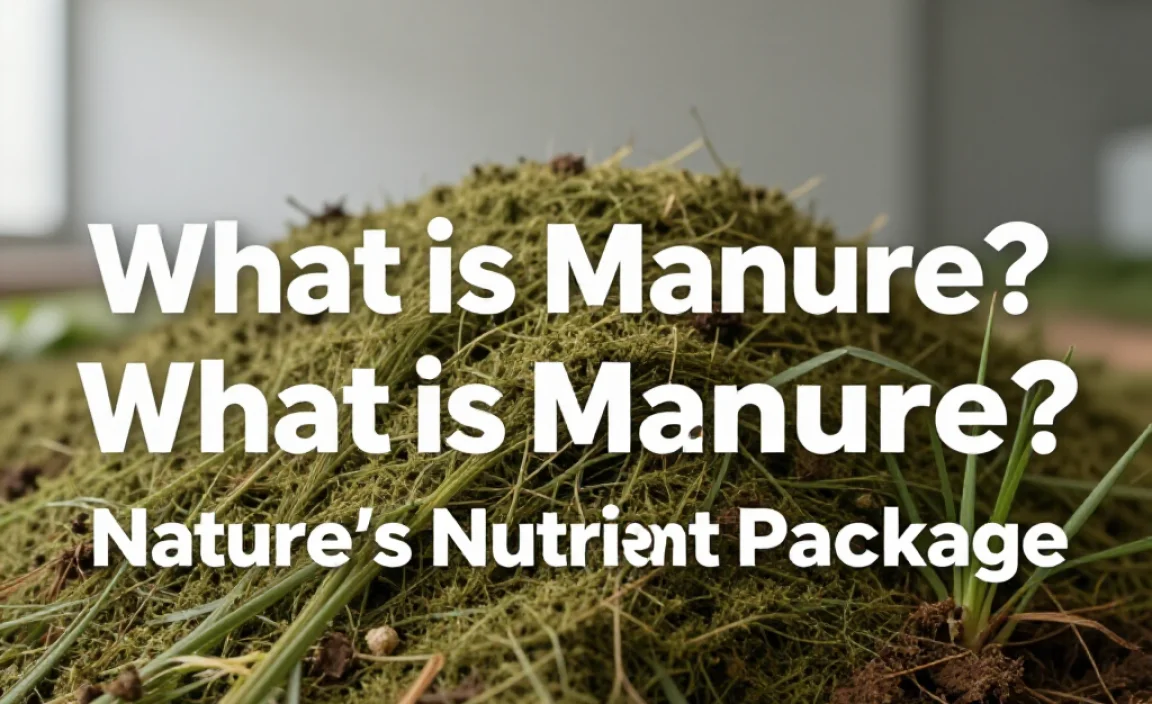 What is Manure? Nature&rsquo;s Nutrient Package