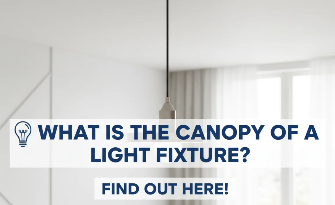 What Is The Canopy Of A Light Fixture? Find Out Here!