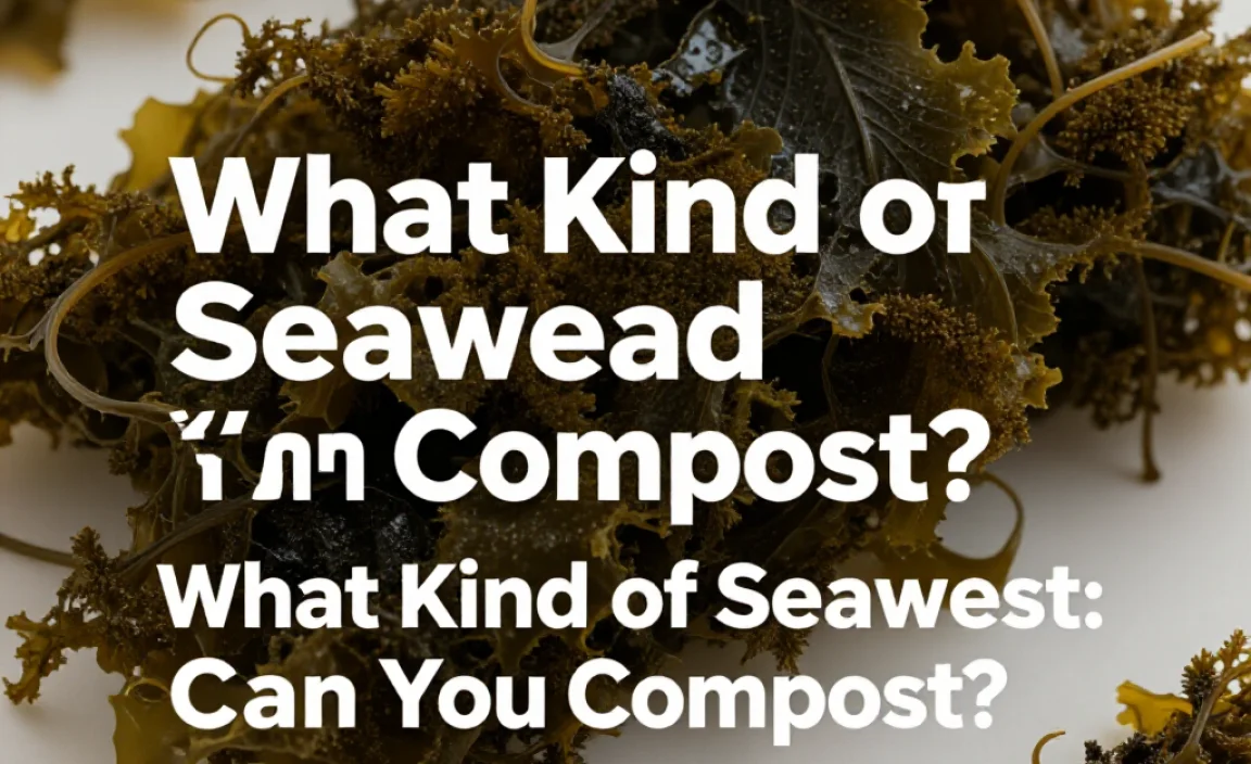 What Kind of Seaweed Can You Compost?