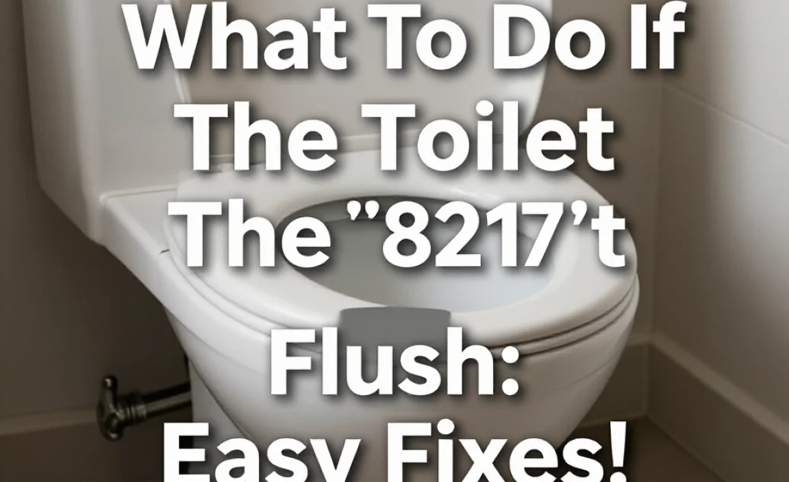 What To Do If The Toilet Doesn’T Flush: Easy Fixes!