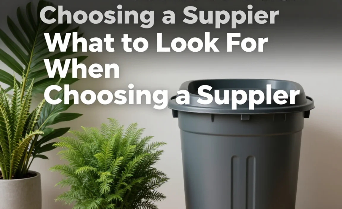 What to Look For When Choosing a Supplier