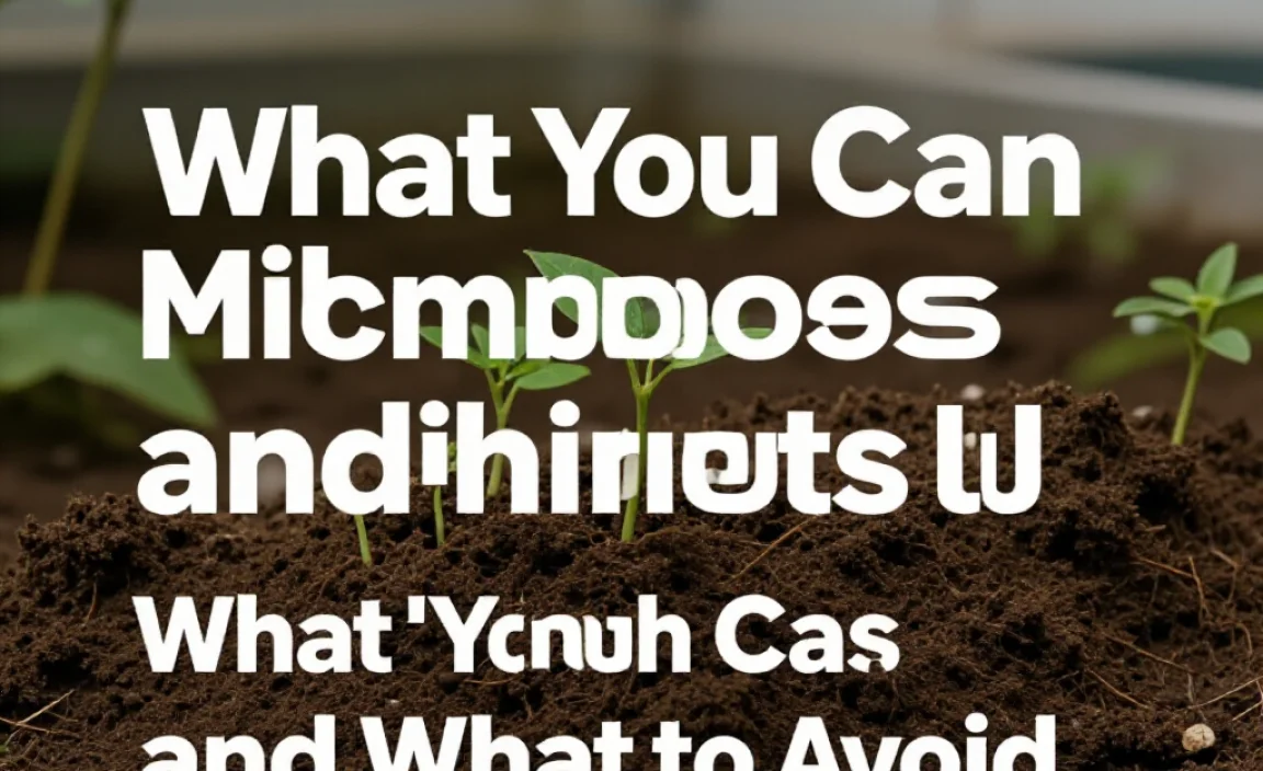 What You Can Compost and What to Avoid