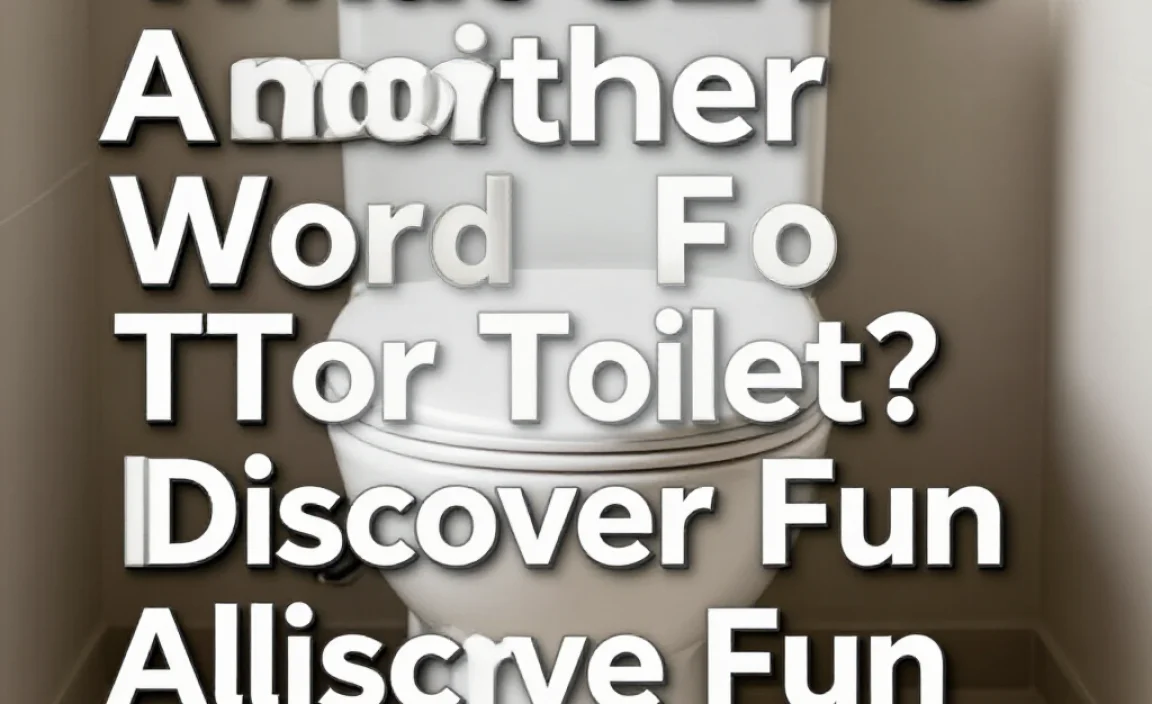 What’S Another Word For Toilet? Discover Fun Alternatives!