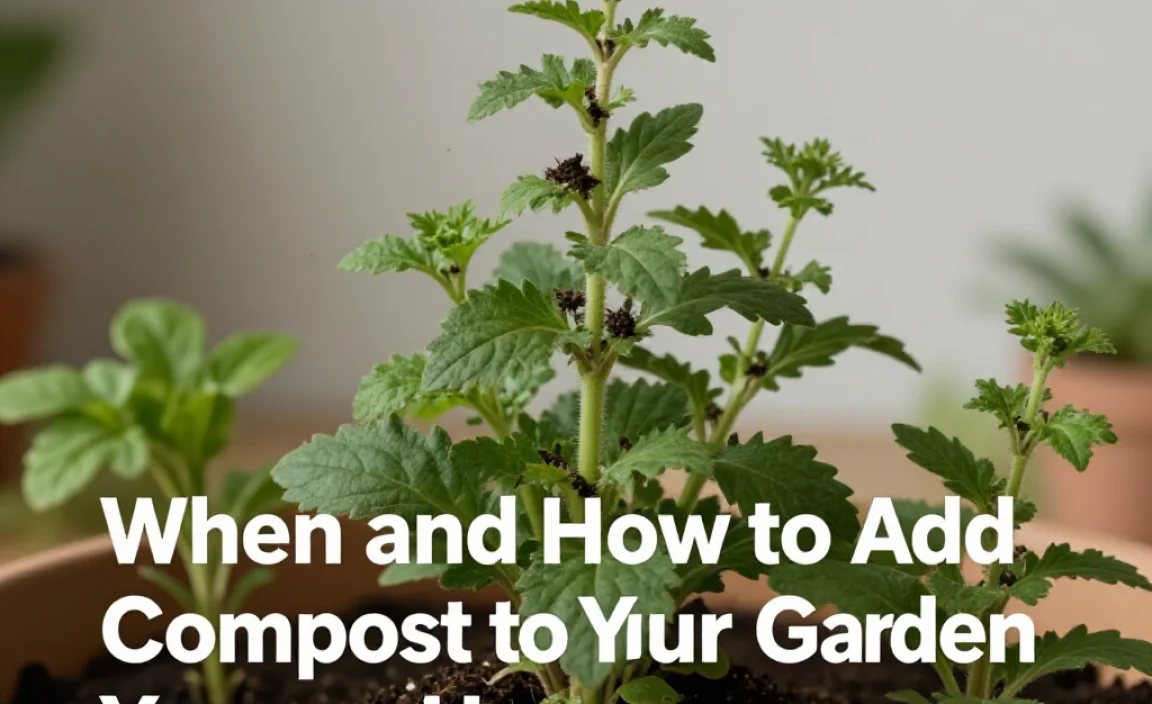 When and How to Add Compost to Your Herb Garden