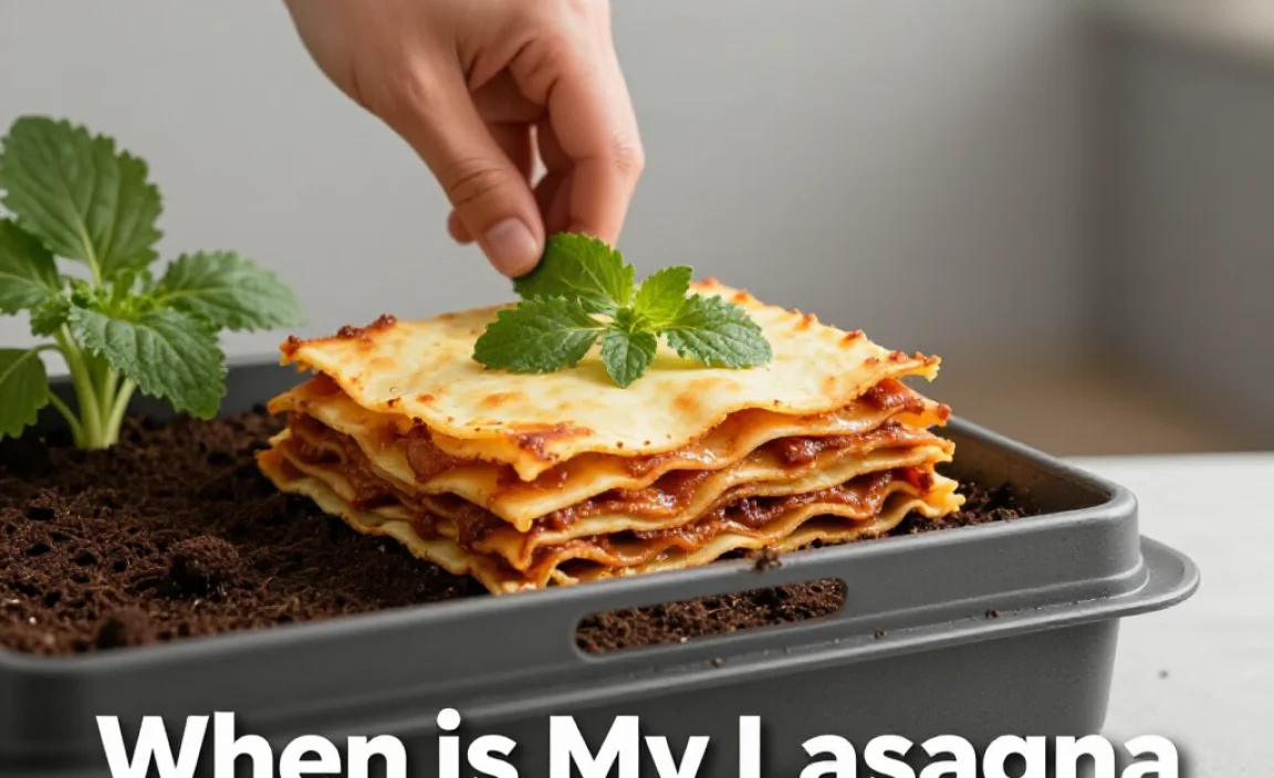 When is My Lasagna Compost Ready?