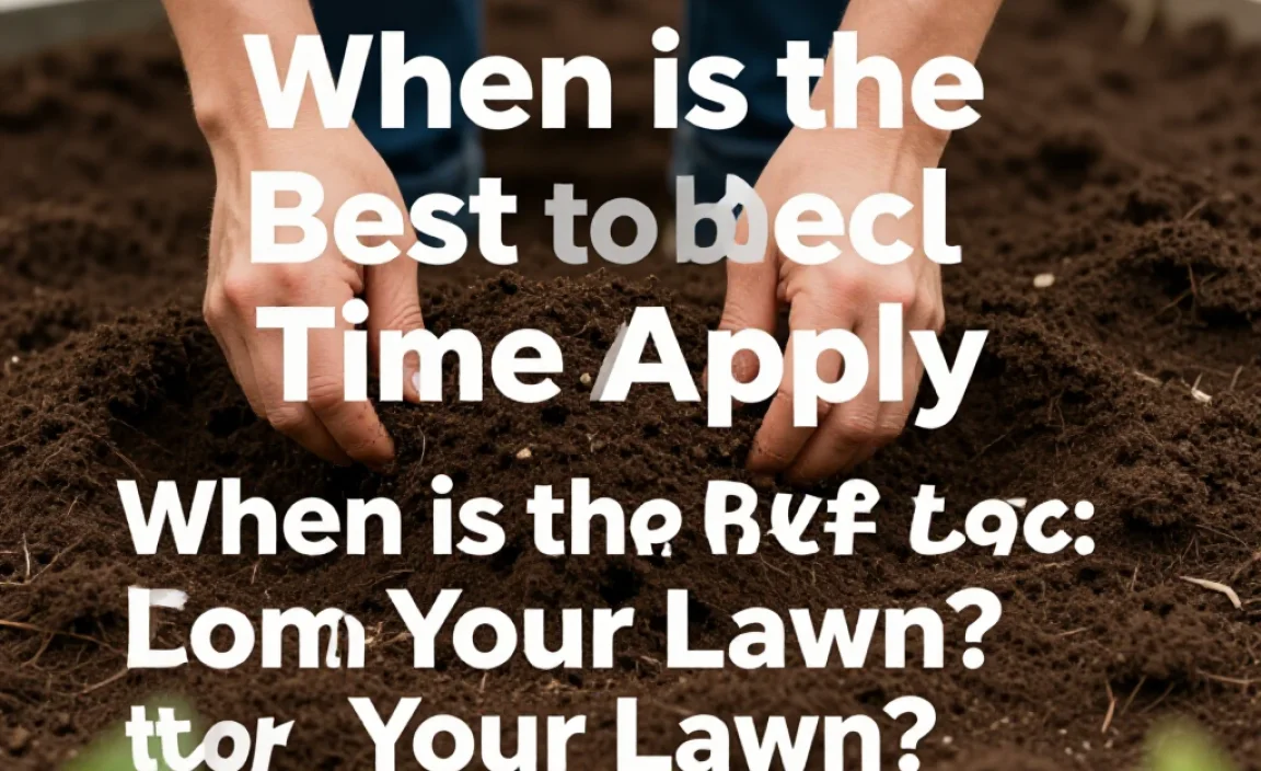 When is the Best Time to Apply Compost to Your Lawn?