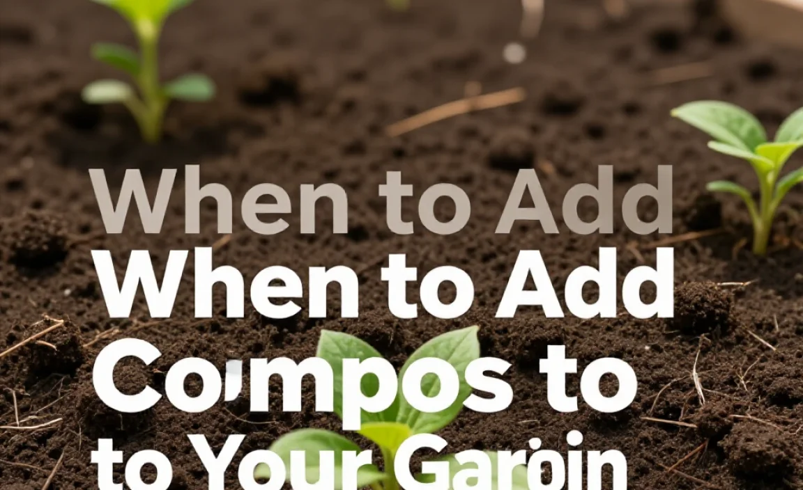 When to Add Compost to Your Garden