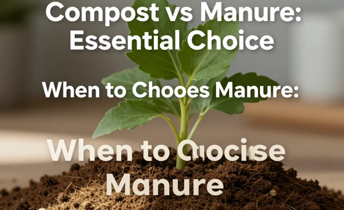 When to Choose Manure: