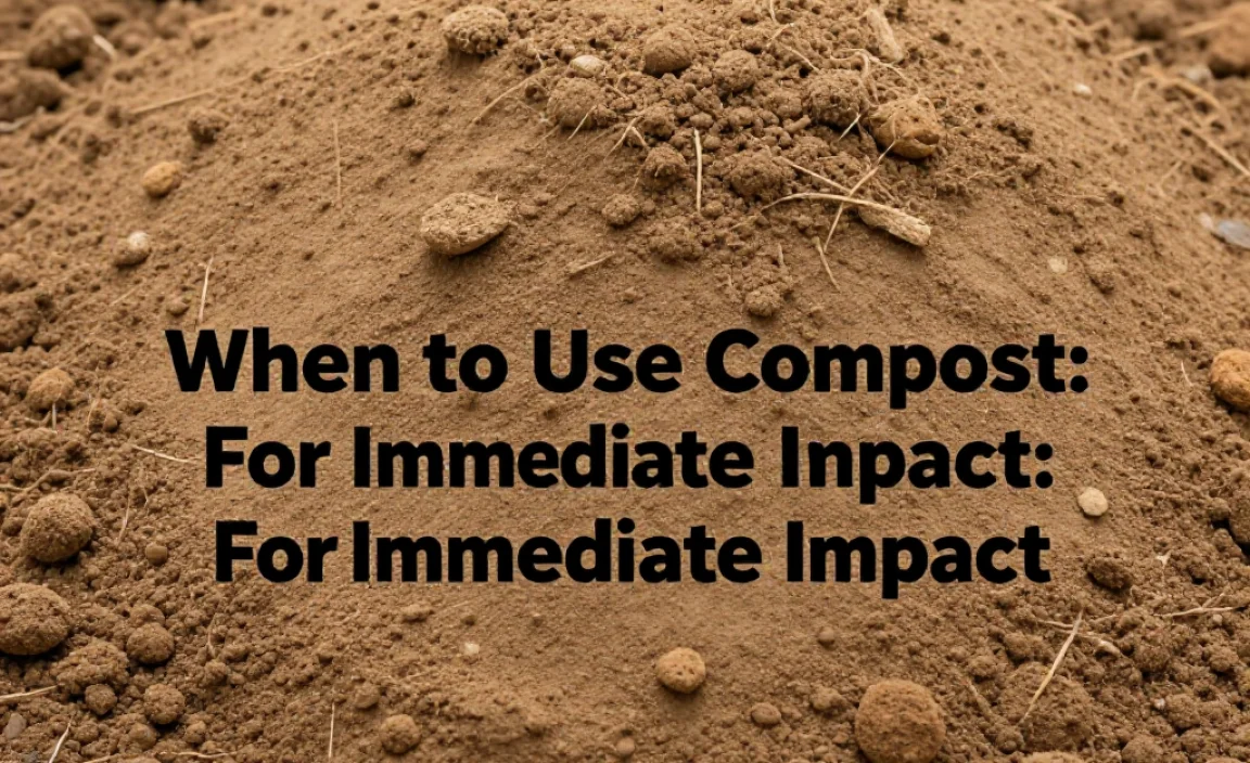 When to Use Compost: For Immediate Impact