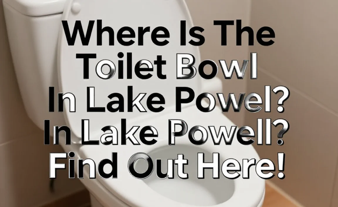 Where Is The Toilet Bowl In Lake Powell? Find Out Here!