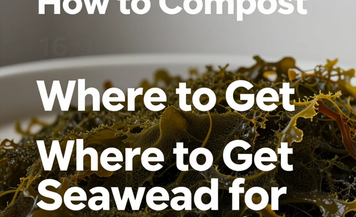 Where to Get Seaweed for Composting