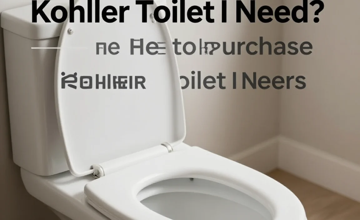 Where to Purchase Kohler Toilet Seats
