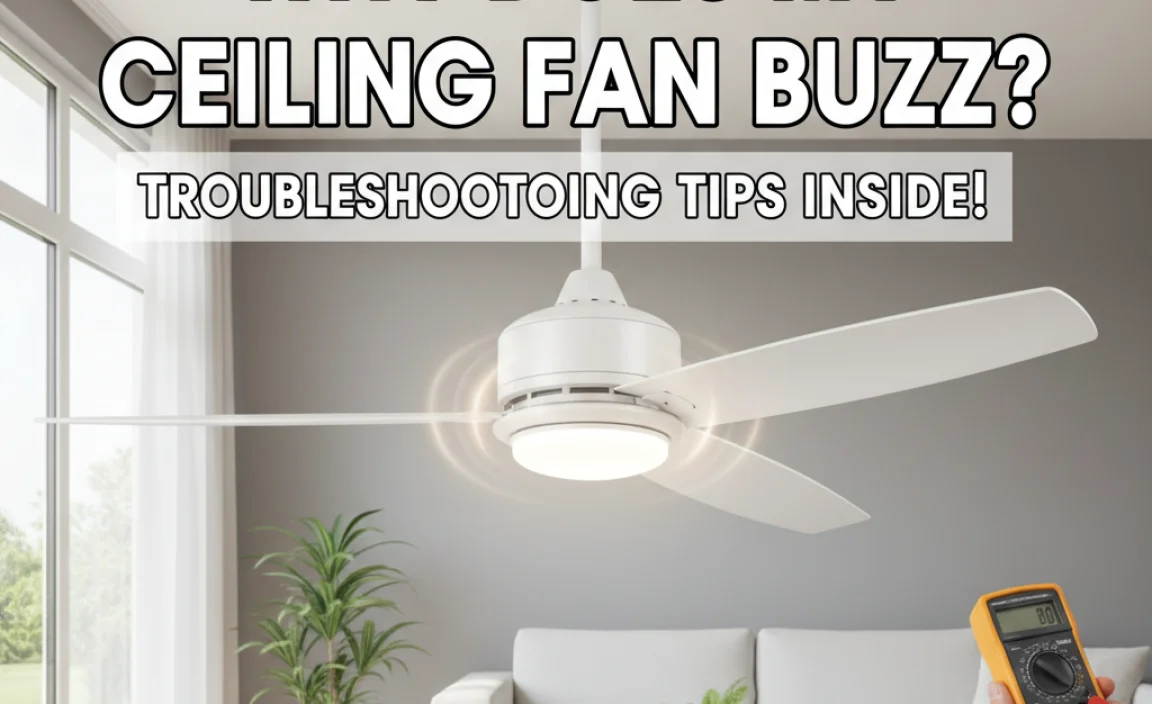 Why Does My Ceiling Fan Buzz? Troubleshooting Tips Inside!