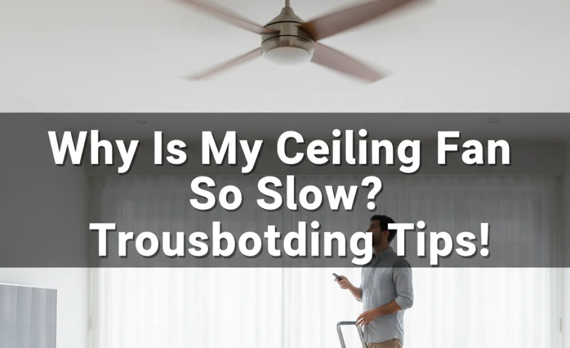 Why Is My Ceiling Fan So Slow? Troubleshooting Tips!