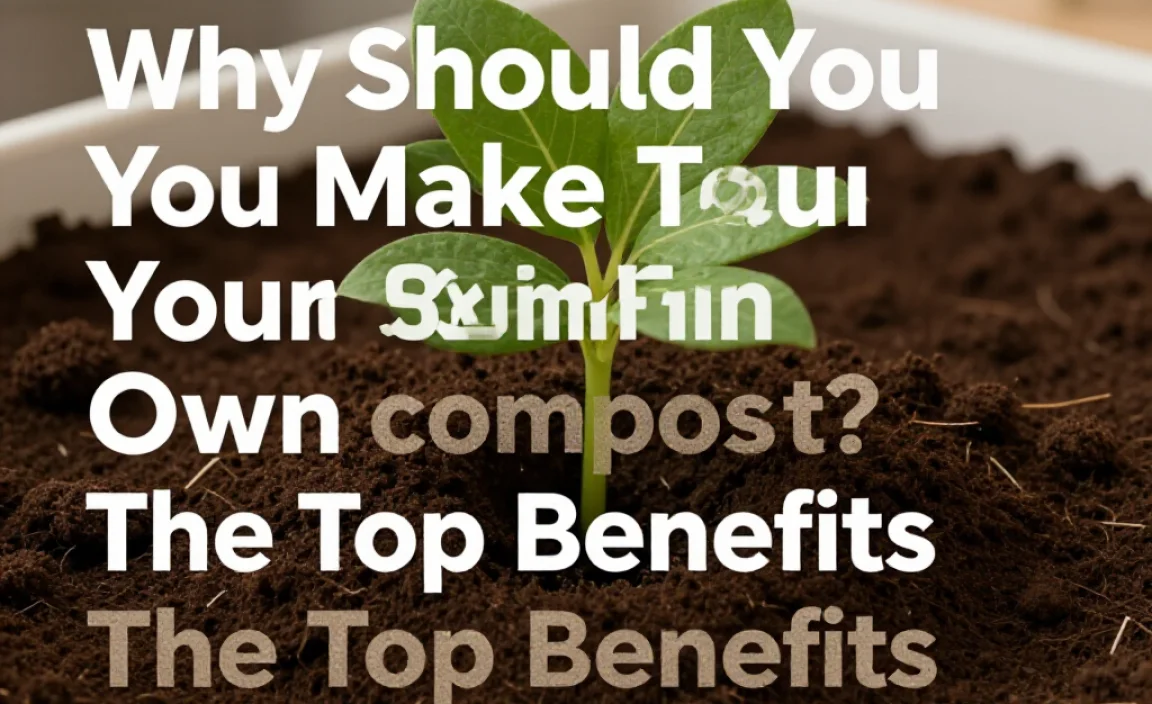 Why Should You Make Your Own Compost? The Top Benefits